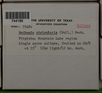 Image Associated With the Occurence